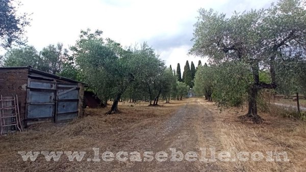 locale di sgombero in vendita a Celleno