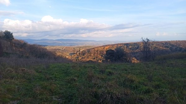 terreno agricolo in vendita a Celleno