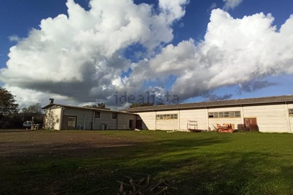 capannone in vendita a Celleno