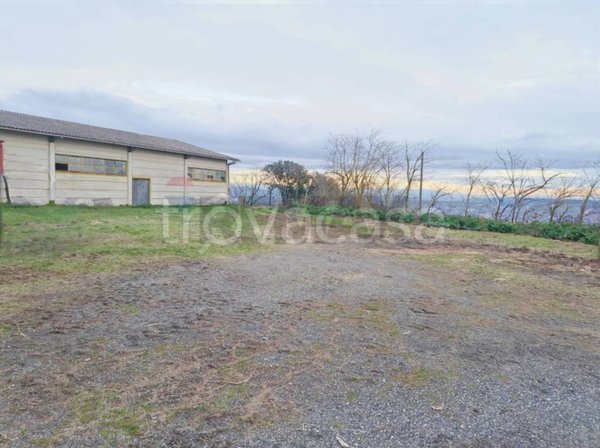 locale commerciale in vendita a Celleno