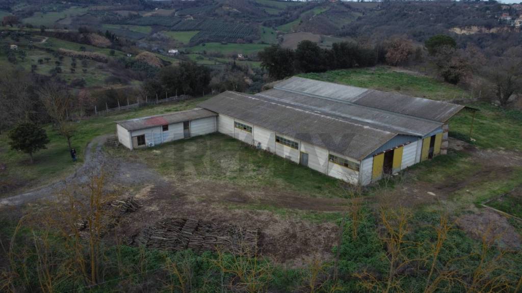terreno agricolo in vendita a Celleno