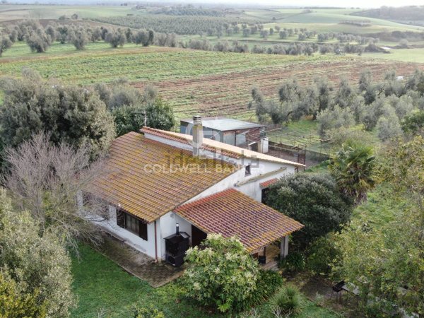 appartamento in vendita a Cellere