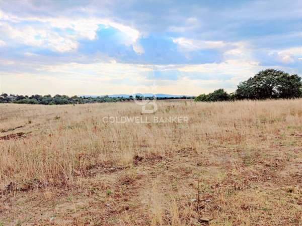 terreno agricolo in vendita a Cellere