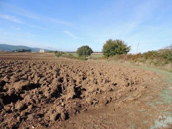 casa indipendente in vendita a Cellere
