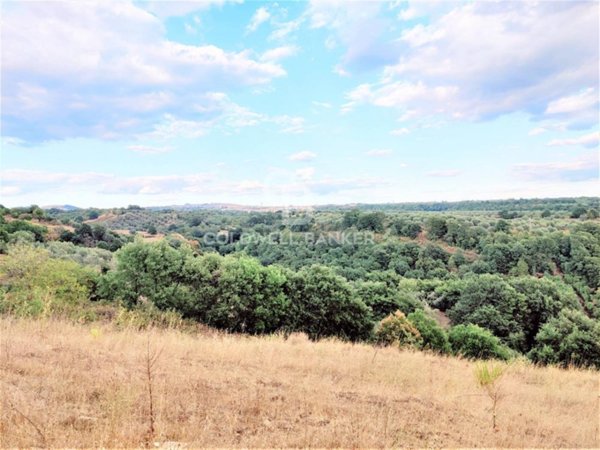 terreno agricolo in vendita a Cellere