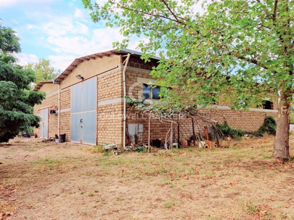 azienda agricola in vendita a Cellere