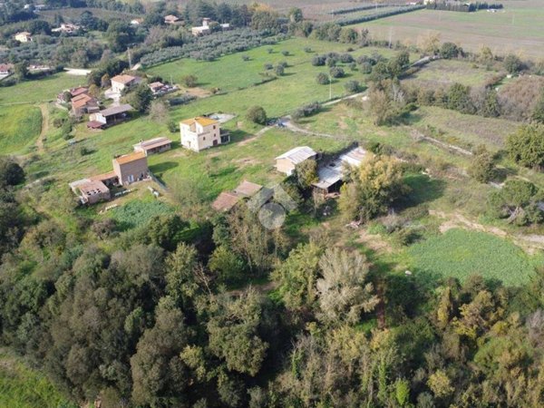 terreno agricolo in vendita a Civita Castellana