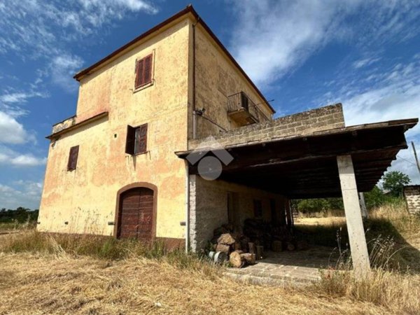 esavano in vendita a Civita Castellana