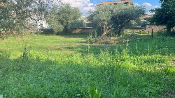 terreno agricolo in vendita a Civita Castellana