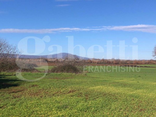 terreno agricolo in vendita a Civita Castellana