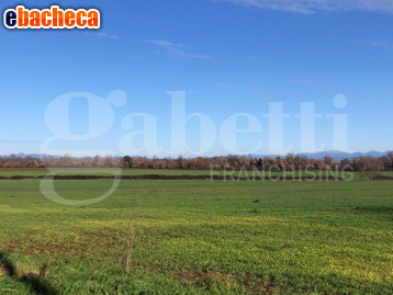terreno agricolo in vendita a Civita Castellana