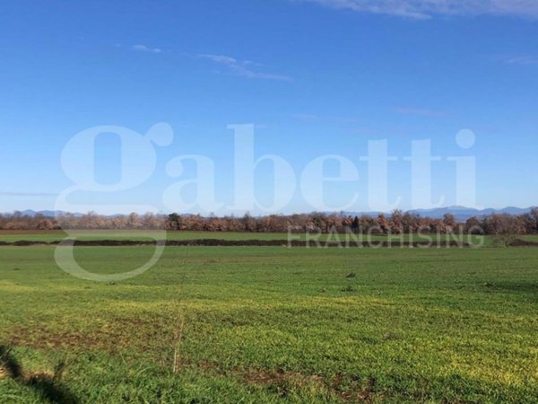 terreno agricolo in vendita a Civita Castellana