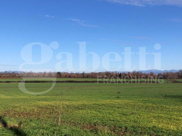 terreno agricolo in vendita a Civita Castellana