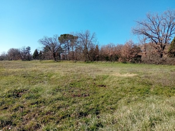 terreno edificabile in vendita a Civita Castellana
