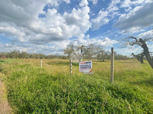 terreno agricolo in vendita a Civita Castellana