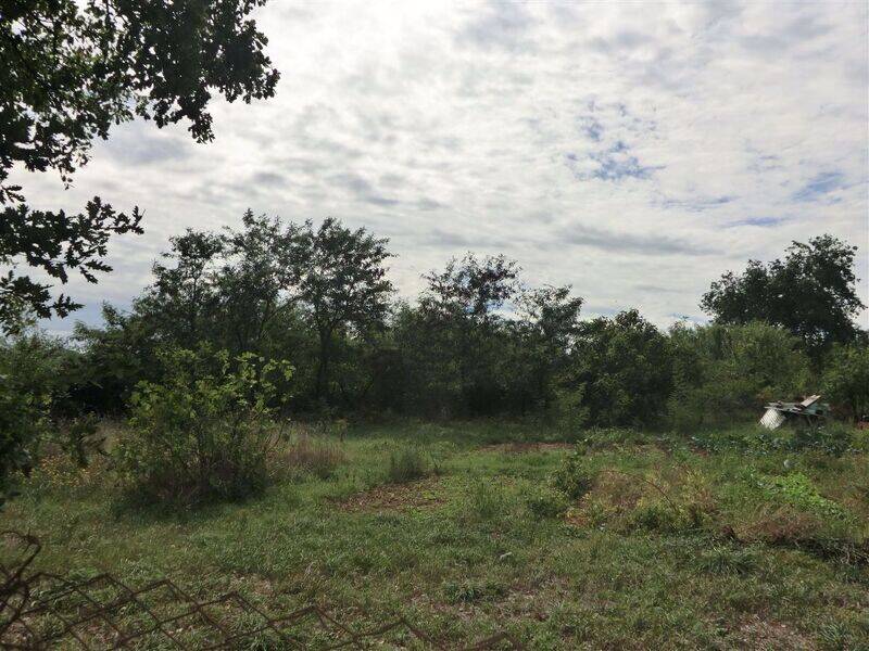 terreno agricolo in vendita a Civita Castellana