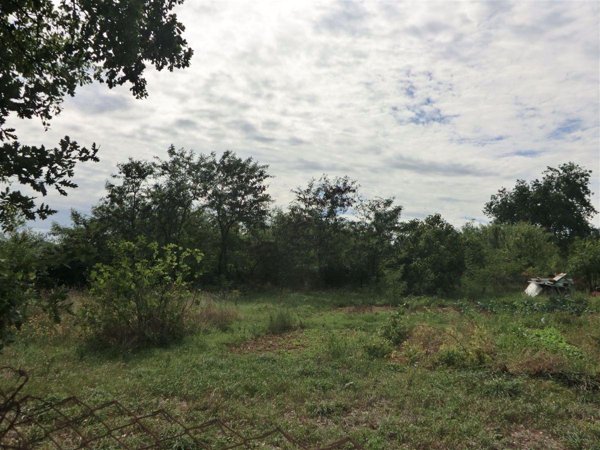 terreno agricolo in vendita a Civita Castellana