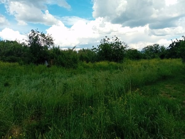 terreno agricolo in vendita a Civita Castellana