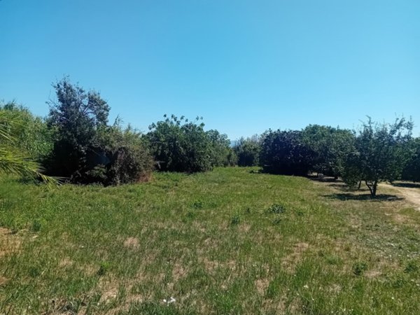 terreno agricolo in vendita a Civita Castellana