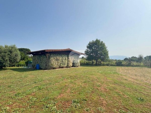 terreno agricolo in vendita a Civita Castellana