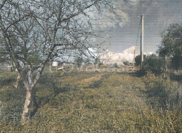 appartamento in vendita a Civita Castellana