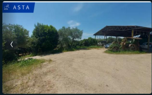 terreno agricolo in vendita a Civita Castellana