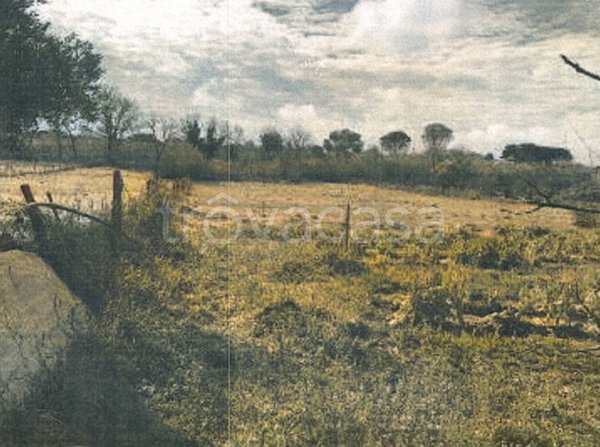 appartamento in vendita a Civita Castellana