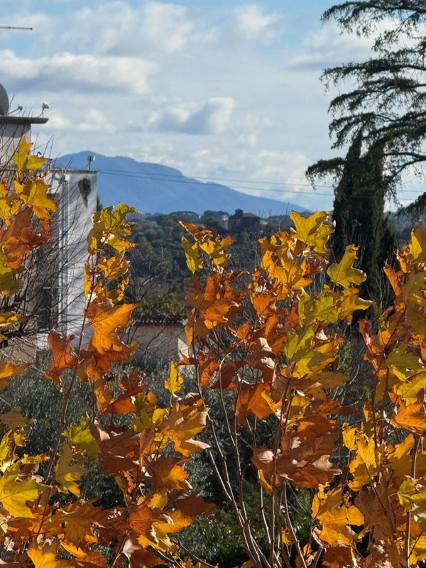 appartamento in vendita a Civita Castellana