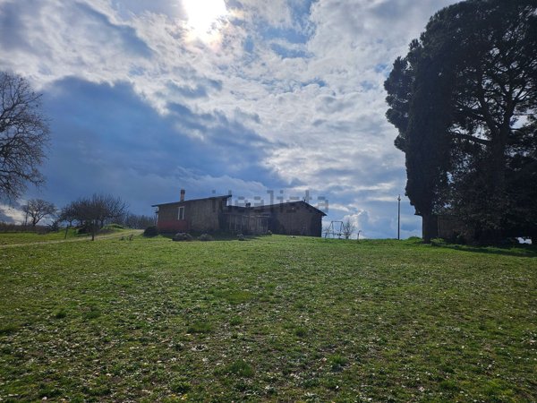 esavano in vendita a Civita Castellana