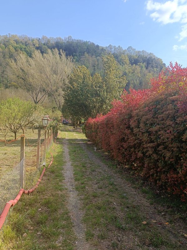locale di sgombero in vendita a Civita Castellana
