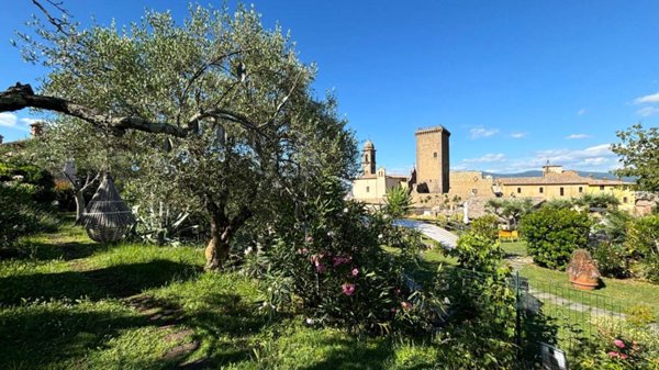 casa indipendente in vendita a Civitella d'Agliano