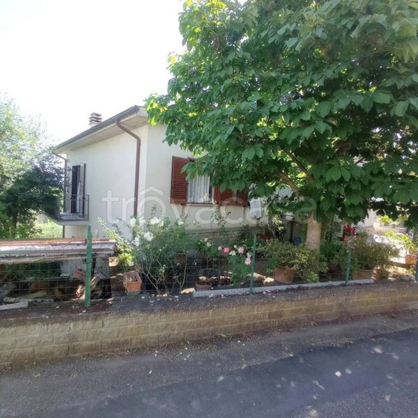 casa indipendente in vendita a Civitella d'Agliano