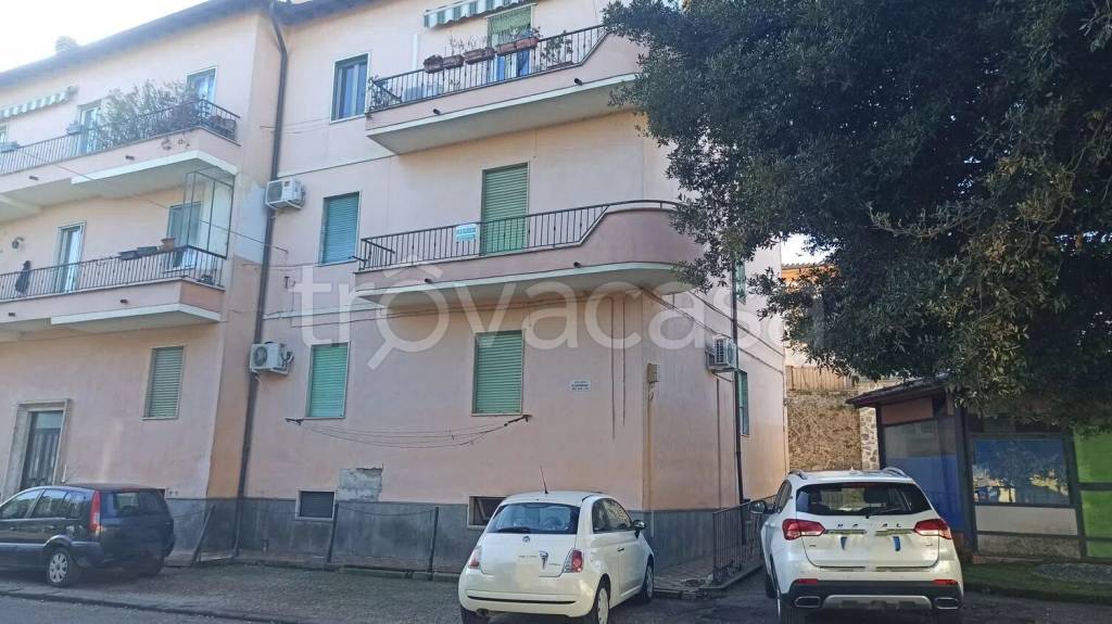 appartamento in vendita a Civitella d'Agliano