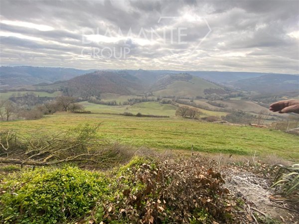 casa indipendente in vendita a Civitella d'Agliano