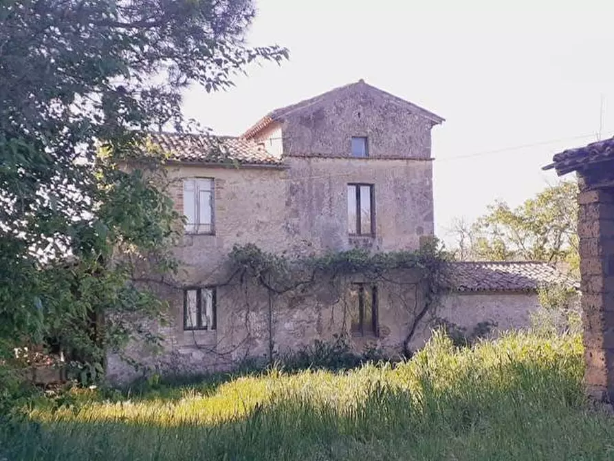 casa indipendente in vendita a Civitella d'Agliano