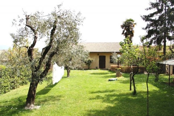 casa indipendente in vendita a Civitella d'Agliano in zona Case Nuove