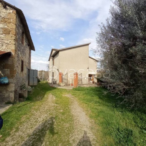 casa indipendente in vendita a Civitella d'Agliano