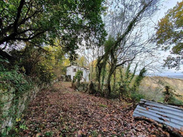 appartamento in vendita a Civitella d'Agliano