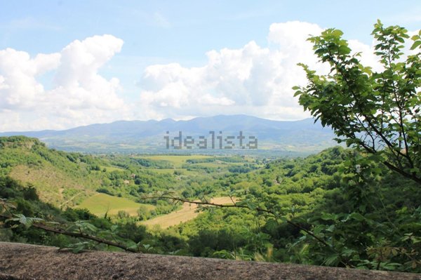 appartamento in vendita a Civitella d'Agliano