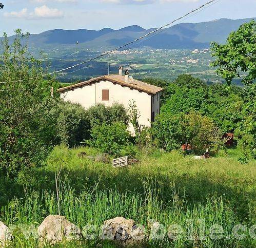 casa indipendente in vendita a Civitella d'Agliano