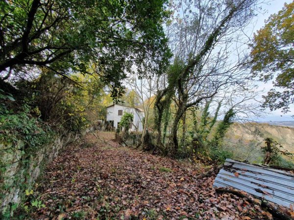 casa indipendente in vendita a Civitella d'Agliano