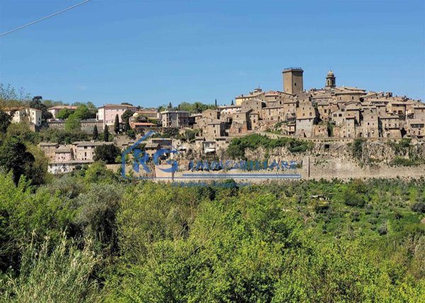 appartamento in vendita a Civitella d'Agliano