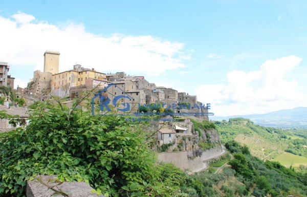 appartamento in vendita a Civitella d'Agliano