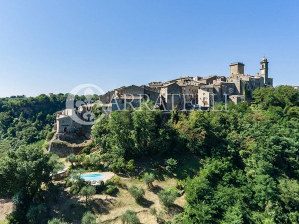 casa indipendente in vendita a Civitella d'Agliano