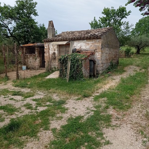appartamento in vendita a Civitella d'Agliano in zona San Michele in Teverina