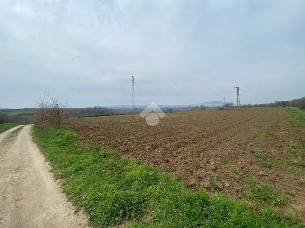 terreno agricolo in vendita a Corchiano