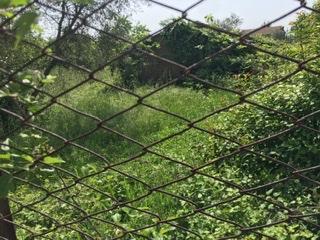 terreno agricolo in vendita a Corchiano