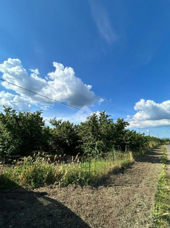 terreno agricolo in vendita a Corchiano