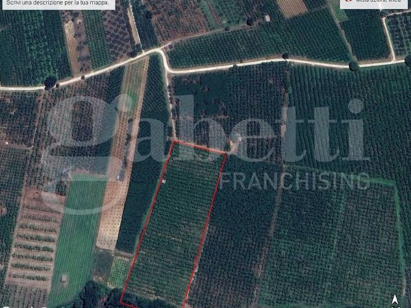 terreno agricolo in vendita a Corchiano
