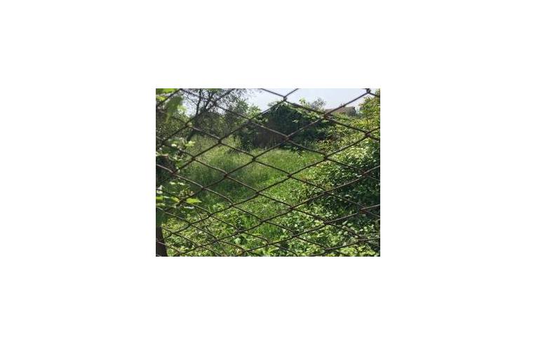 terreno agricolo in vendita a Corchiano